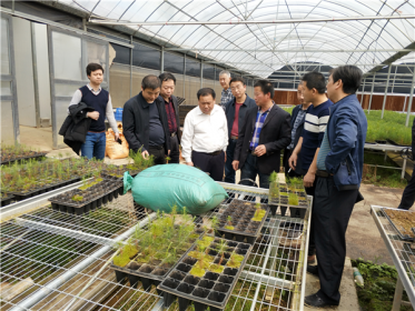 长沙市县台办牵线 促进老区产业扶贫