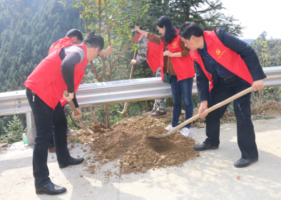 凤凰县台办助力县里创建国家森林城市