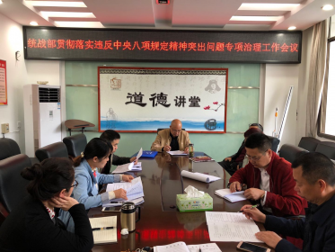 桃源县委统战部、台办、工商联开展违反中央八项规定精神突出问题专项治理