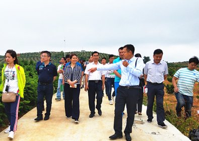 台商到江永县考察农业项目发展投资环境