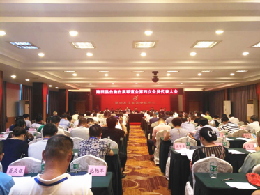 隆回县台联召开第四次会员代表大会