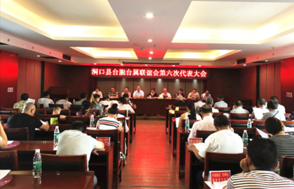 洞口县台胞台属联谊会顺利换届