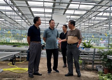 长沙市台办主任袁义和调研湖南九农台湾育苗中心