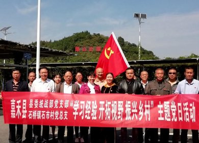 嘉禾县委统战部党支部与石市村党总支结对开展主题党日活动