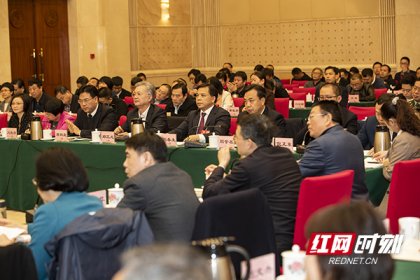 【红网直击两会现场】一场关于教育问题的热烈讨论