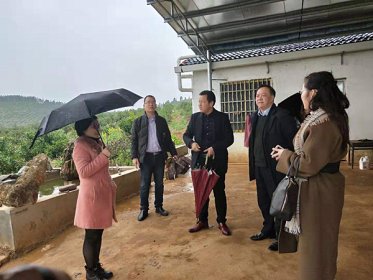 永州市委台办赴江永调研农业发展