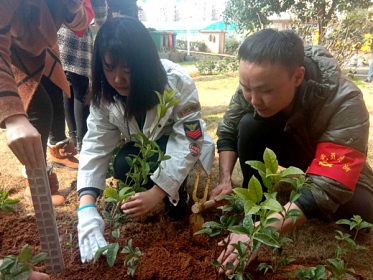 台胞林子馨一家参加社区志愿植树活动绿化家园