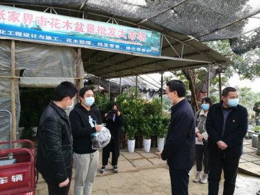 张家界市永定区委书记祝云武走访台资企业 携手同行共防新冠肺炎疫情
