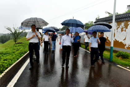 常德市鼎城区举办“两岸一家亲 共叙端午情” 台商台胞台属代表联谊活动