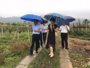 益阳：落实落细惠企政策助力台企稳健发展