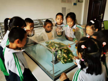永州市冷水滩区翠竹园小学涉台教育基地 进入最后验收阶段